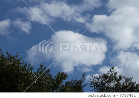 Cloud in blue sky Cloud in blue sky 7757491