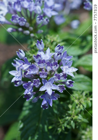 我叫Teruyuki Kusayama Kusa Santanka。 7757819