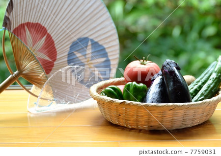 夏日風光 7759031