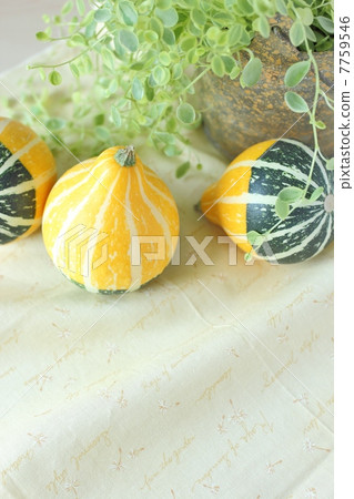 玩具壁球 7759546