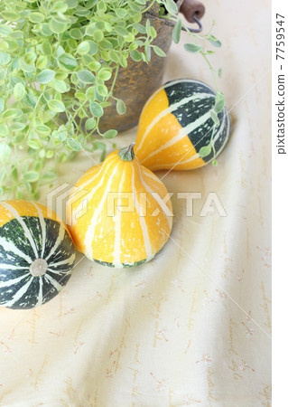 玩具壁球 7759547