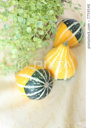 玩具壁球 7759548