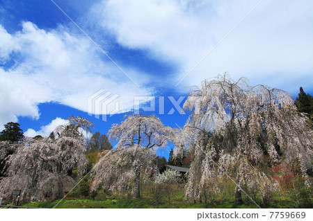 Spring of Tachiya Caves 7759669