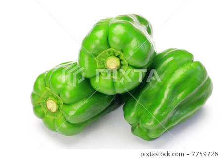 green pepper green pepper 7759726