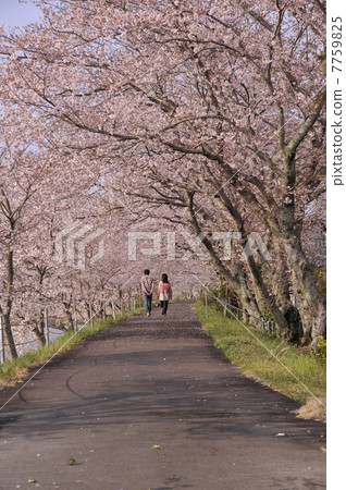 永遠在一起 7759825