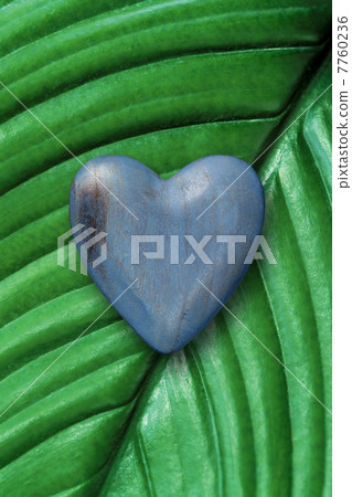 Wood heart on green leaf Wood heart on green leaf 7760236