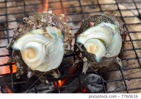 紗江 紗江 7760616