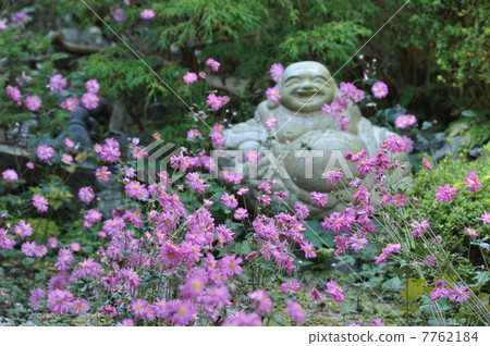 Kyoto Zenbouji Temple Garden 7762184