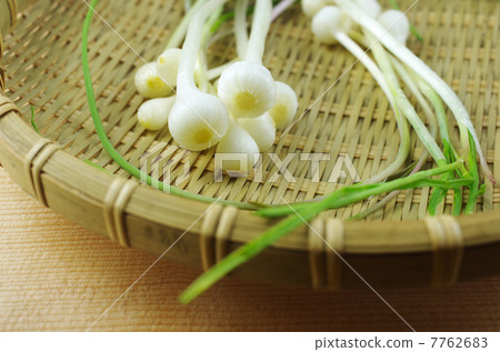 Nozomu and Zaru 7762683