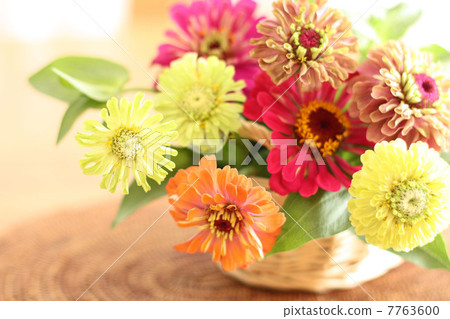 插花 插花 7763600