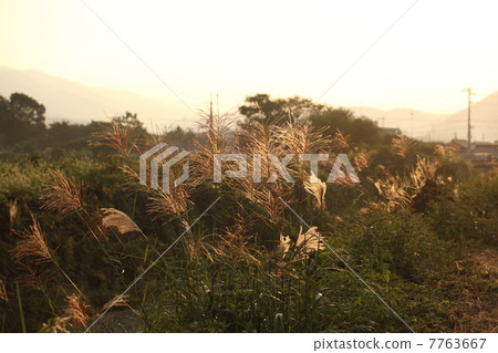 秋天的景色（Ogi） 7763667