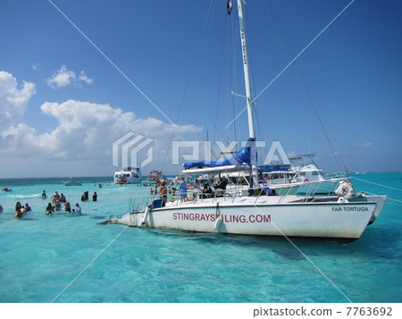 與黃貂魚一起游泳5 7763692