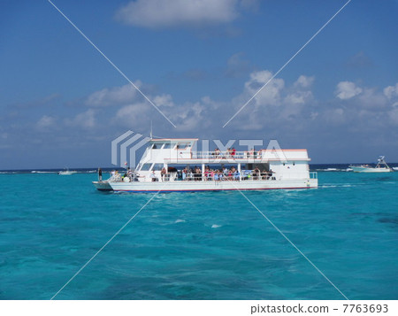 與黃貂魚游泳4 7763693