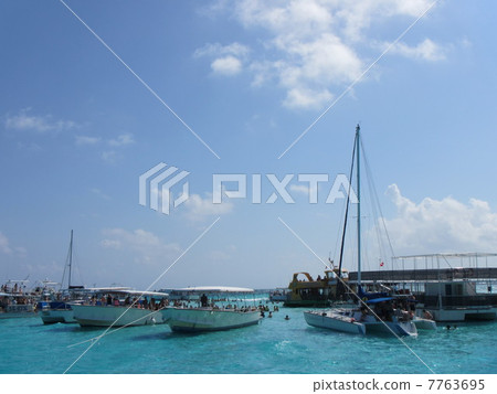 和黃貂魚一起游泳2 7763695