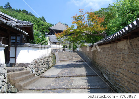The way to Todaiji Temple 7763987