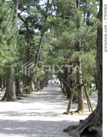 Izumo Taisha pine的做法 7764068
