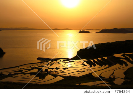 Tsuchiya rice terrace at dusk 7764264