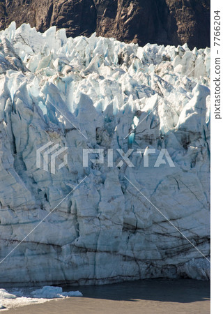 USA - Alaska - Glacier 7766204