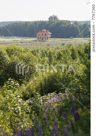 Unfinished wooden house Unfinished wooden house 7767360