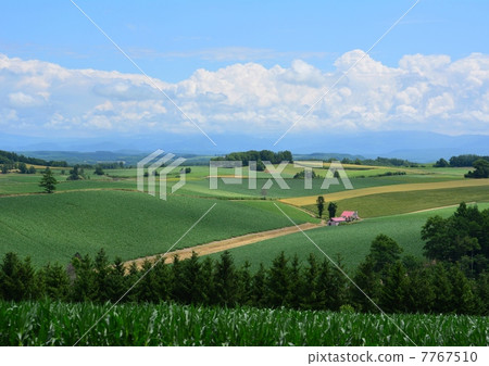 美瑛風景·紅屋頂的房子 7767510