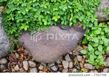 Rock and gravel Rock and gravel 7767706