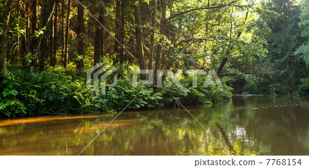 Forest river 7768154