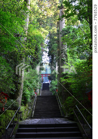 箱根神社(2013.7) 箱根神社(2013.7) 7768529