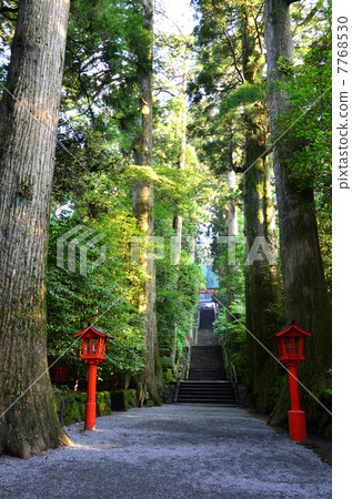 箱根神社(2013.7) 箱根神社(2013.7) 7768530