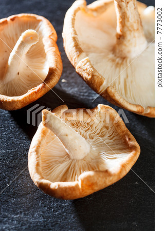 Shiitake Mushrooms 7773002