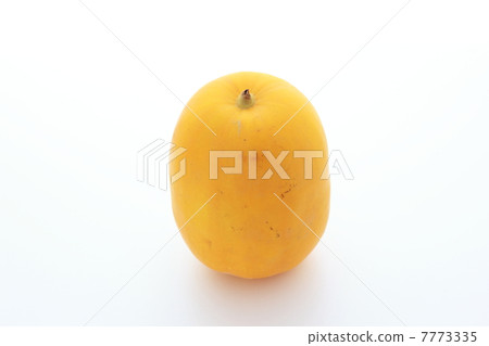 黃瓜 黃瓜 7773335