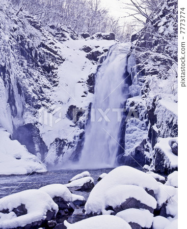 雪的Akiho Otori 7773774