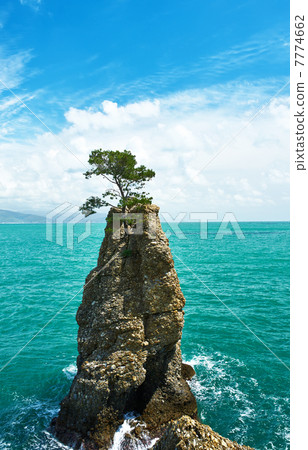 Ligurian coast in Italy 7774662