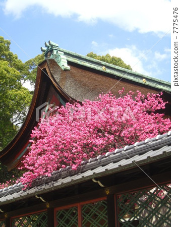 Okkonomiya神社 7775476