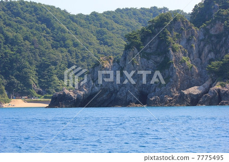 Sasagawa Flow Dinosaur Rock 7775495