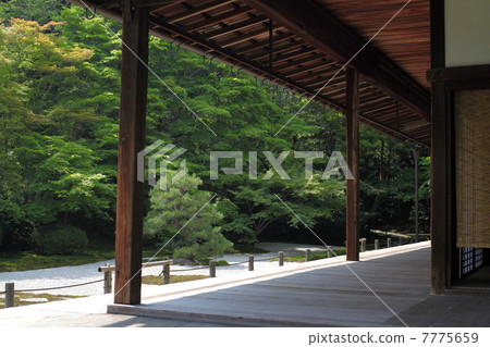 新鮮的綠色Tensakuan 7775659