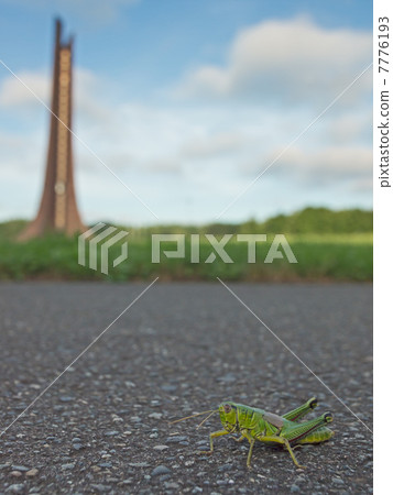 Hokkaido Centenary Memorial Tower Hokkaido Centenary Memorial Tower 7776193