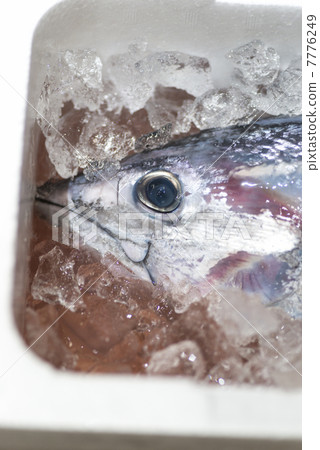 主要平板電腦 7776249