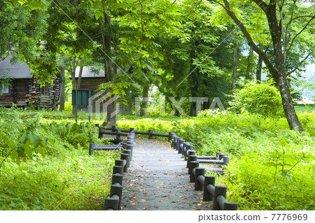 Himekawa Genji自然發現木道路 7776969