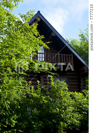 Hakuba's Villa 7777210
