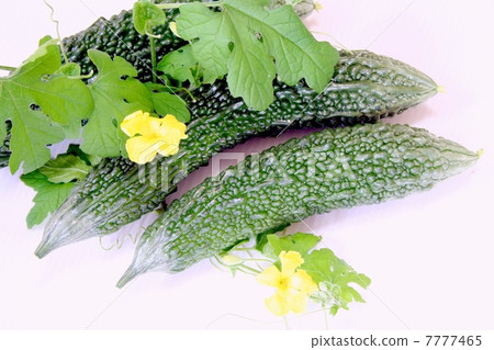 bitter gourd 7777465