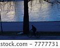 On the banks of Salzburg 7777731