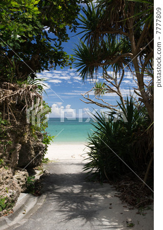 通往沖繩海洋的道路 7777809