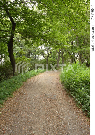 Hirayama castle ruins park mountain road July Tokyo 7779064