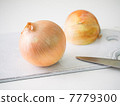 onion  7779300