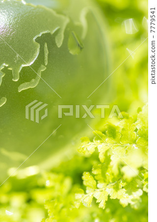 Earth and green 7779541