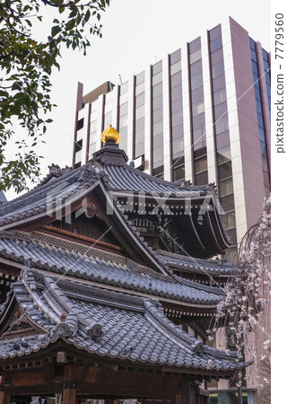 北海道正殿 7779560