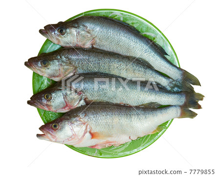 Fresh fish is perch on a plate 7779855