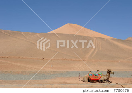 火山 7780676
