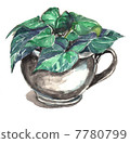 Watercolor Still Life Plant 7780799
