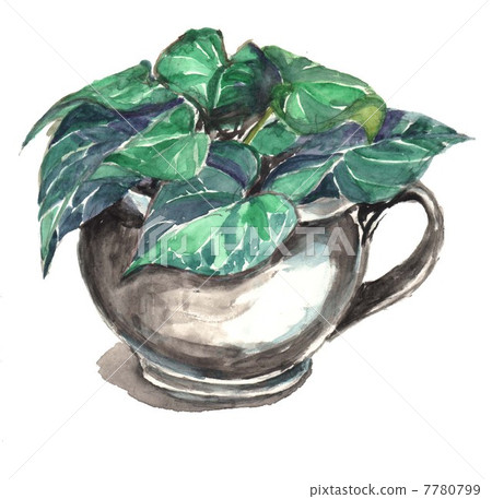 水彩靜物植物 7780799